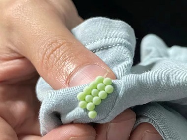 罗村四害消杀机构防治臭虫的危害措施有哪些？